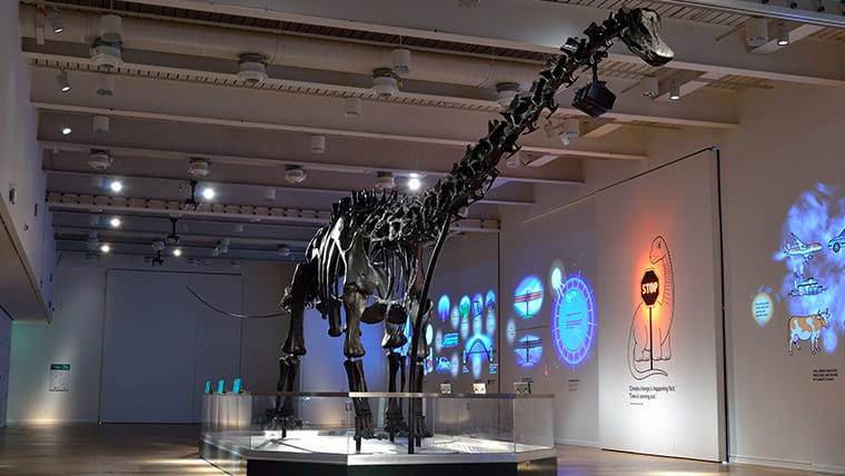 Dippy the dinosaur, Romans and more at the Great North Museum