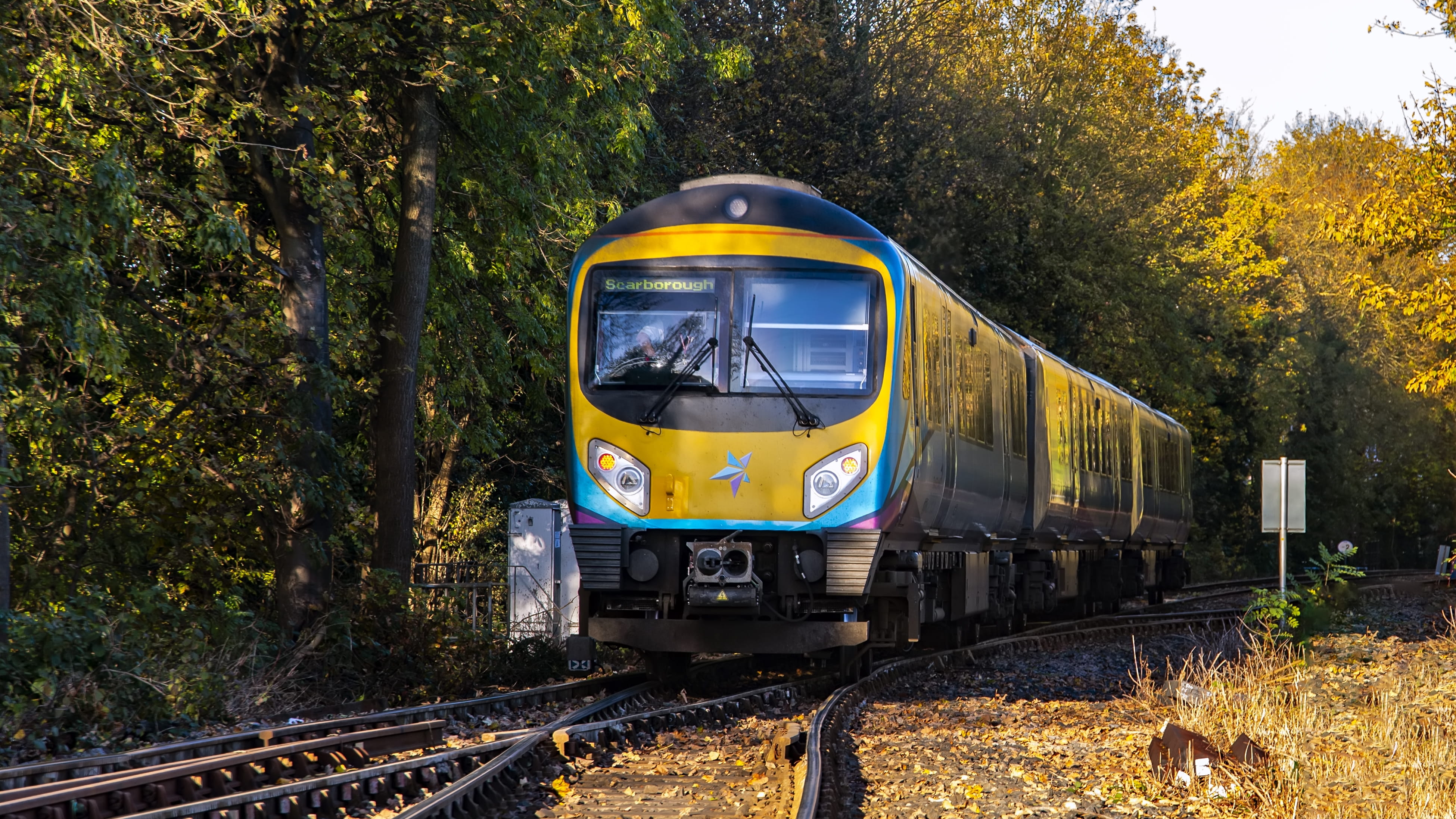 Autumn Train