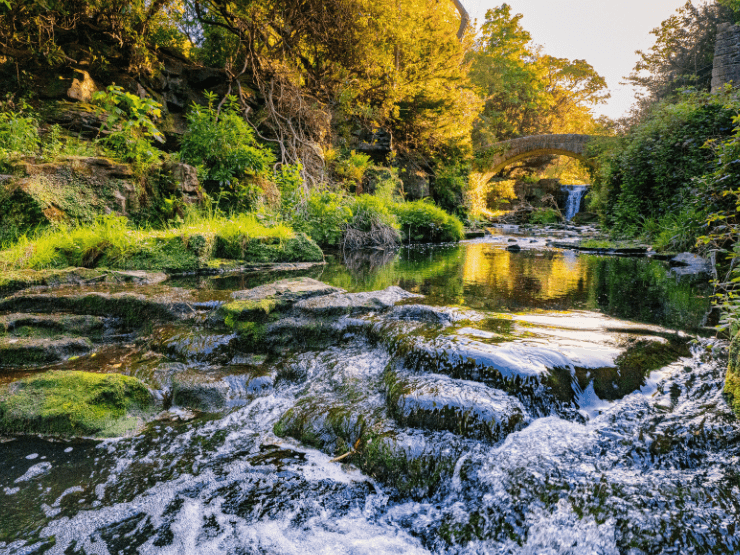 A waterfall, green trees and bridge at Jesmond Dene in Newcastle