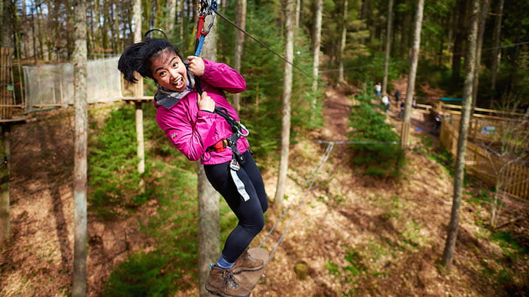 Go Ape at Normanby Hall